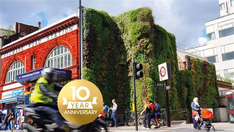 Edgware Road Living Wall blooms on tube station, Marylebone - Biotecture