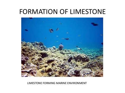 2 formation of limestone