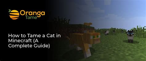 How to Tame a Cat in Minecraft (A Complete Guide)