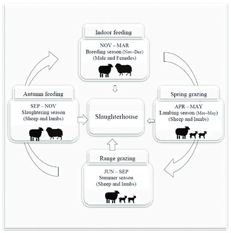 A typical Norwegian sheep production system (simplified layout). The... | Download Scientific ...