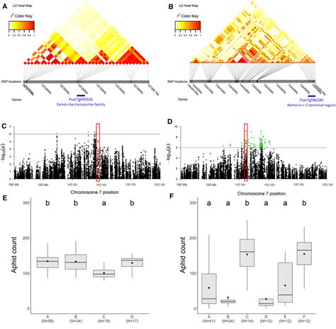 Haplotype block analysis for the LD blocks containing the most ...