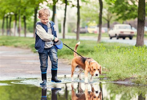 How To Walk Your Dog Safely With Children | Bob Martin