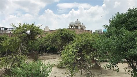 Exploring the Mystery of Nidhivan Temple Vrindavan