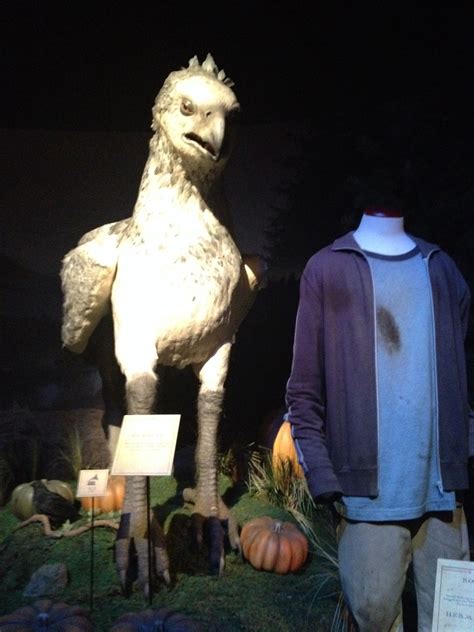 Harry's costume and Buckbeak from "Prisoner of Azkaban" at "Harry Potter: The Exhibition". | Yer ...