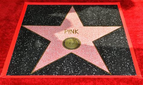 Pink at Hollywood Walk of Fame Ceremony 2019 | POPSUGAR Celebrity Photo 14