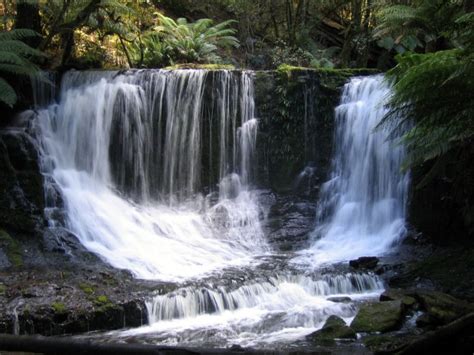 Russell Falls – Tasmania – This Travel Life