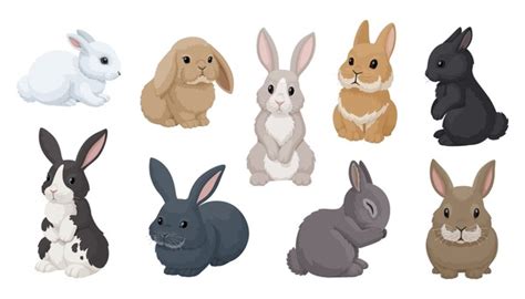 302,003 Bunny Drawing Royalty-Free Images, Stock Photos & Pictures | Shutterstock