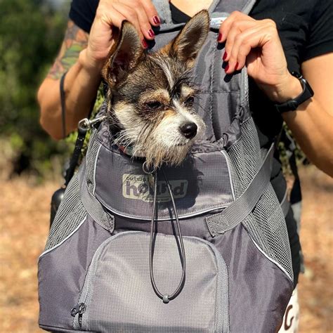 Best Dog Backpack Carrier for Hiking - Top 5 Picks! (2024) - We Love Doodles