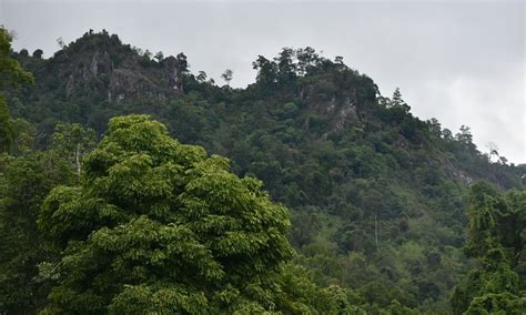 INVENTORY OF FLORA AND FAUNA OF MYANMAR