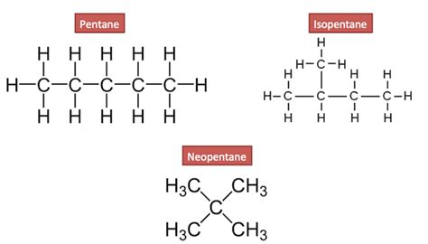 Draw the structures of two isomers of pentane - Science - Carbon and its Compounds - 11576819 ...