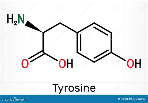 Tyrosine Or L-tyrosine, Tyr, Y, Amino Acid Molecule. Skeletal Formula. Vector Illustration ...