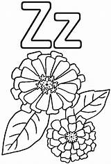 4 Beautiful Zinnia Coloring Pages For Girls  sketch template