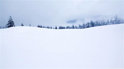 4k Mountain And Winter Hq - Winter Field Background (#2038388) - HD ...