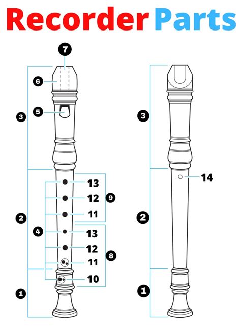 The Different Parts Of A Recorder: Its Anatomy And, 42% OFF