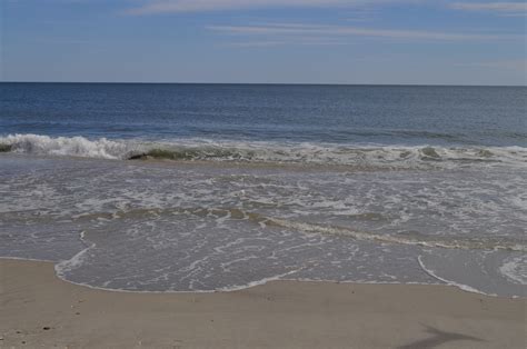 Robert Moses State Park – Ally's Photography