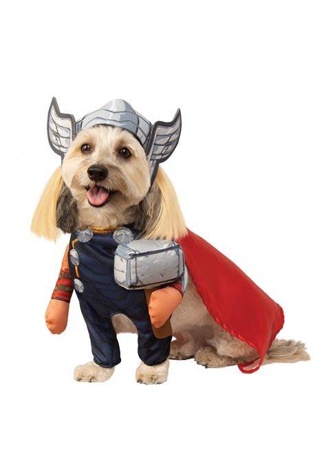 Pet Thor Costume