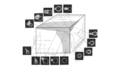 About the EES – Extended Evolutionary Synthesis