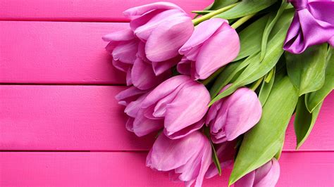 Free Pink Flowers Wallpaper Downloads, [300+] Pink Flowers Wallpapers ...