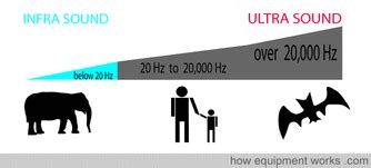 Ultrasonic Sound and Infrasonic Sound