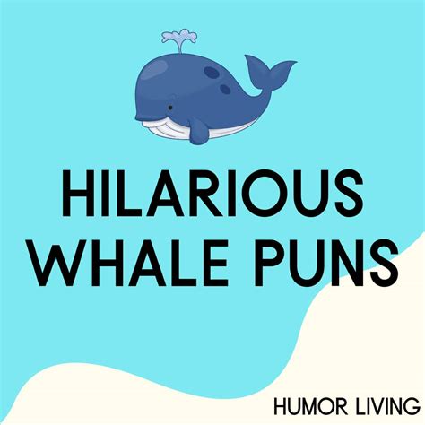 85+ Hilarious Whale Puns to Spout Laughter - Humor Living