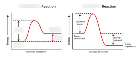 reaction rates, potential energy diagram Diagram | Quizlet