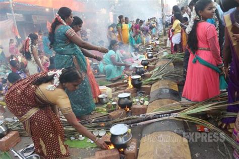 What is Kaanum Pongal? and why we are celebrating Pongal? Thai Pongal