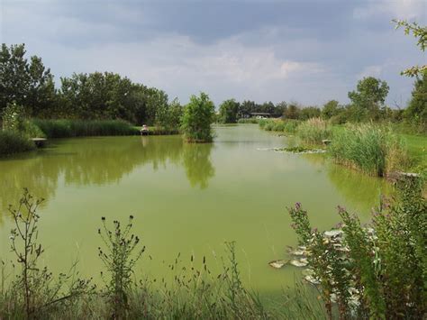 Fishing lake at Stonham Barns © Helen Steed cc-by-sa/2.0 :: Geograph ...