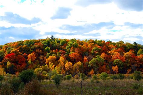 The Brown Knowser: Wordless Wednesday: Autumn in Gatineau Park