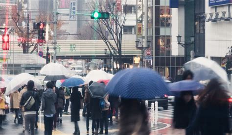 「雨の日の傘の扱い方」のNGマナー8選｜傘の持ち方＆開け方、電車内での扱い、水滴の落とし方、傘立ての入れ方など | Precious.jp（プレシャス）