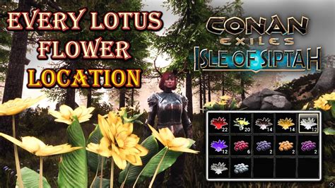 🌸Conan Exiles Every Lotus Flower Location - 2022🧭 - YouTube