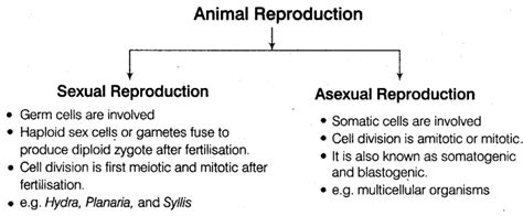 NEET Biology Notes Animal Reproduction day and Reproductive Health ...