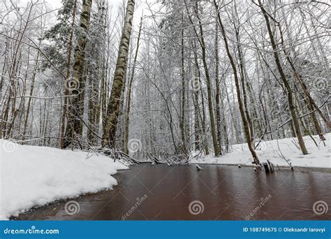 A Beautiful Snow-covered Winter Forest. Ice Lake and Forest Streams ...