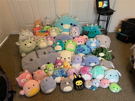 Popular plush toys, Squishmallows, are big business in Northern Colorado