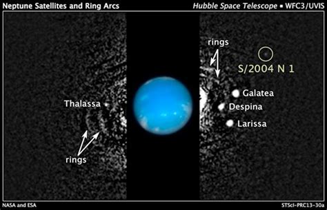 Neptune's New Moon - California Academy of Sciences