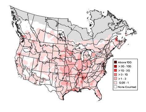 Great Blue Heron - Breeding Range Map