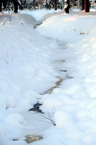 Nature of Latvia. Winter. Sigulda, Latvia. Estonia, Show Me Photos ...