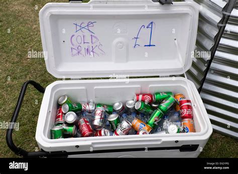 Not Ice Cold Drinks Cans Soda Pop Cooler Box Warm Stock Photo - Alamy