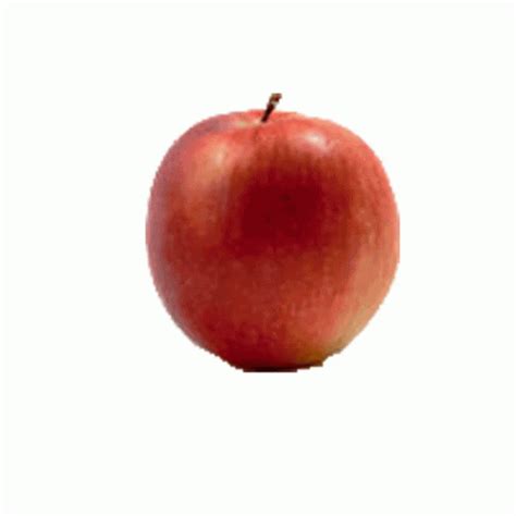 Apple Time Lapse GIF | GIFDB.com