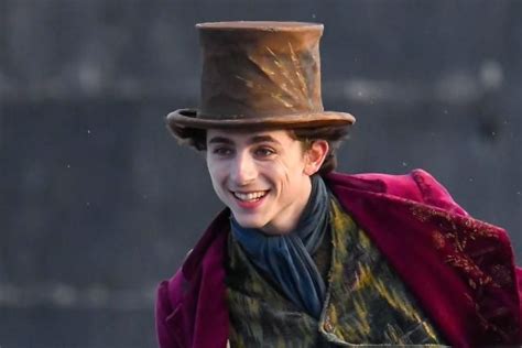 Timothée Chalamet: El actor elegido para dar vida a Willy Wonka | Marie ...