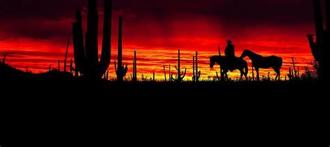 Saguaro cactus 1080P, 2K, 4K, 5K HD wallpapers free download ...