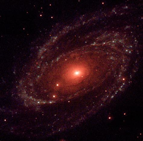 ESA - XMM-Newton's Optical Monitor ultraviolet image of the spiral galaxy M81