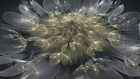 Dilemma - 5K Flower Fractal Wallpaper by spiraloso on DeviantArt