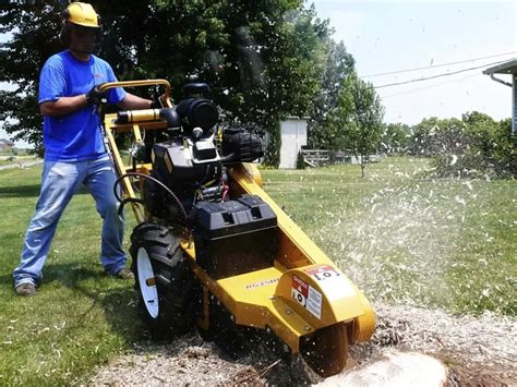 Everything about Stump Grinding Services - Cork Tree Surgeons