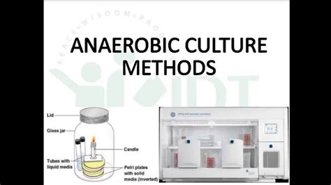 Bacterial Culture methods Part 2: Anaerobic culture method - YouTube