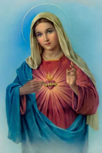 The Immaculate Heart of Blessed Virgin Mary Painting Roman Catholic ...