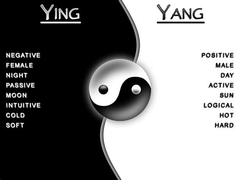 Yin – Yang – The Becoming Whole Again Project