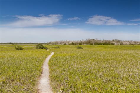 Hiking Florida – Flamingo, Everglades National Park | Nick Botner