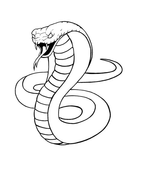 Snake Drawing Step By Step at GetDrawings | Free download