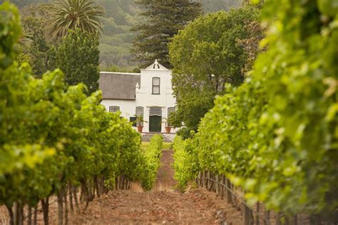 BUITENVERWACHTING WINE ESTATE ENTRANCE | Seascape Tours