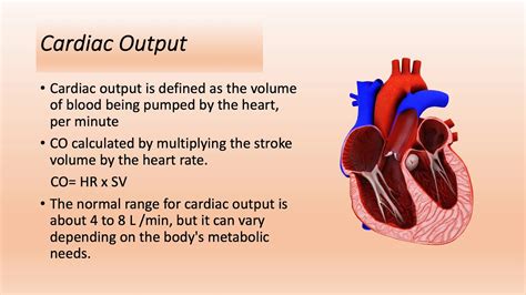 Cardiac Input And Output Devices - PELAJARAN